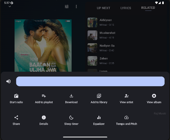 Player Controls & Sleep Timer